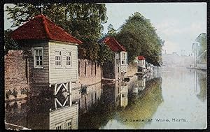 Ware Herts Vintage Postcard