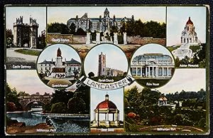 Lancaster Postcard Williamson Park County Asylum Palm House Ashton