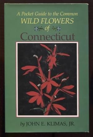 A Pocket Guide to the Common Wild Flowers of Connecticut