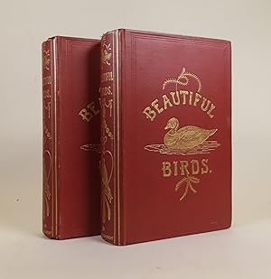 Beautiful Birds Described; Edited from the Manuscript of John Cotton with Thirty-Six Illustration...