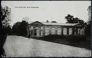 Kew Gardens Postcard Vintage View Of The Museum