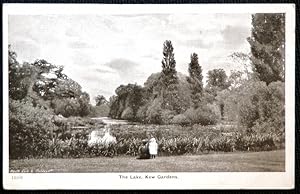 Kew Gardens Postcard Vintage The Lake Collectable Publisher