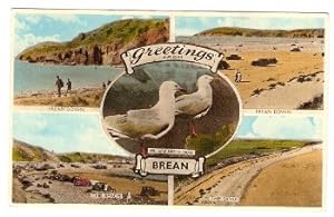 Brean Postcard From Mr. And Mrs. C Gull Vintage 1959