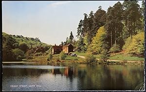 Leith Hill Surrey Postcard Friday Street Vintage 1964