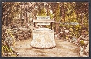 Wannock Sussex Postcard Wishing Well Make Your Wish Vintage 1946