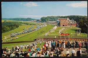 Goodwood Postcard Racecourse Sussex Vintage 1969