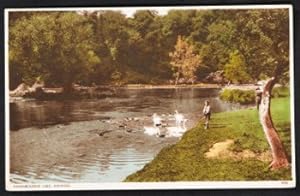 Arundel Postcard Sussex Swanbourne Lake Vintage LOCAL PUBLISHER