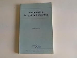 Mathematics insight and meaning