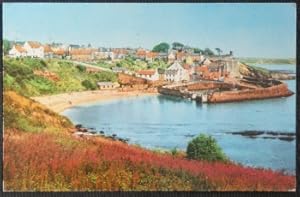 Crail Postcard Vintage 1975 Scotland