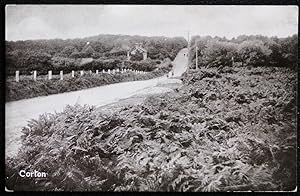 Corton Postcard Real Photo Vintage