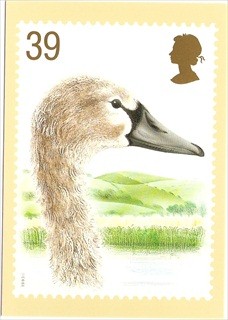 Stamps Royal Mail Postcard Swans by David Gentleman Issued by RM 1993