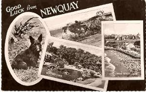 Newquay Cornwall Postcard Valentine's Publisher Good Luck Series