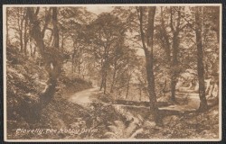 Clovelly Devon Postcard The Hobby Drive