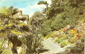 Exmouth Devon Postcard Madeira Walk Vintage 1972