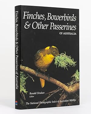 Finches, Bowerbirds and other Passerines of Australia