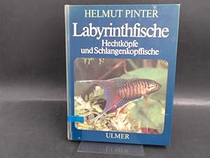 Labyrinthfische. Hechtköpfe und Schlangenkopffische.