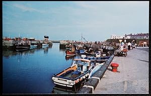 Seahouses Postcard The Harbour