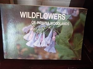 Wildflowers of Indiana Wodlands
