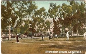 Ladybrand Africa Postcard Recreation Ground Vintage View LOCAL PUBLISHER