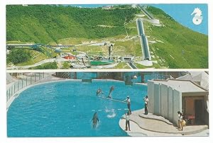 Hong Kong Ocean Park Aberdeen Postcard