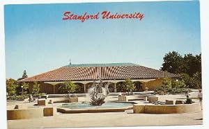 USA Stamford University Postcard