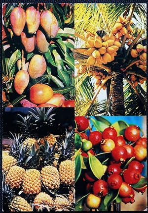 Mauritius Ile Maurice Postcard Mangoes Coconuts Goyaves de Chine Pineapples