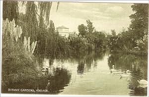 Adelaide Ausralia Postcard Botanic Gardens Vintage View