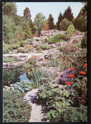 Cambridge Postcard University Botanic Garden Limestone Rock Garden