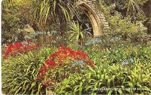 Tresco Isles Of Scilly Postcard Abbey Gardens