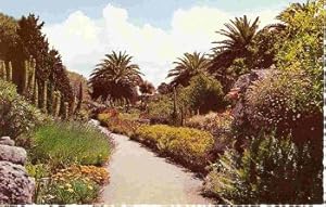 Tresco Isles Of Scilly Postcard LOCAL PUBLISHER