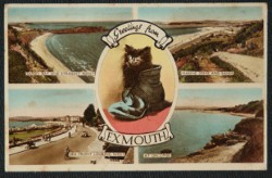 Exmouth Devon Postcard Black Cat Greetings Orcombe Marine Drive