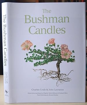 The Bushman Candles