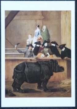 Pietro Longhi Artist Rhinoceros At Venice Postcard