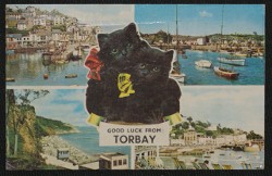 Torbay Devon Postcard Lucky Black Cat Series Vintage 1969