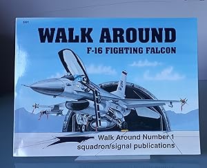 F-16 Fighting Falcon - Walk Around No. 1