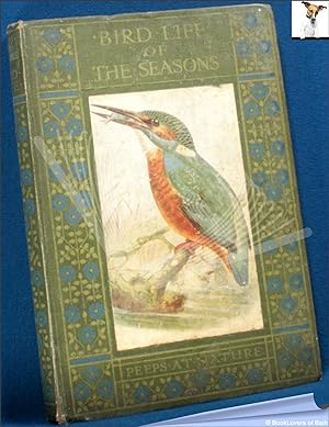 Bird Life of the Seasons