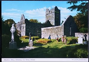 Killarney Co. Kerry Postcard Muckross Abbey