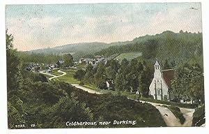 Dorking Coldharbour Antique Surrey Postcard Vintage circa 1905
