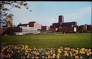 Guildford University Postcard And Cathedral