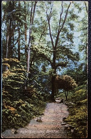Bristol Postcard Nightingale Valley