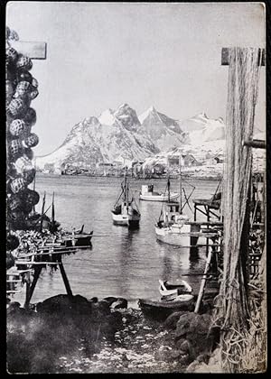 Reine Lofoten Norway Postcard