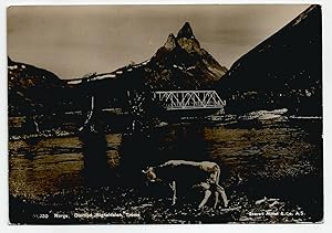 Norge Otertind Signaldalan Troms Postcard Real Photo