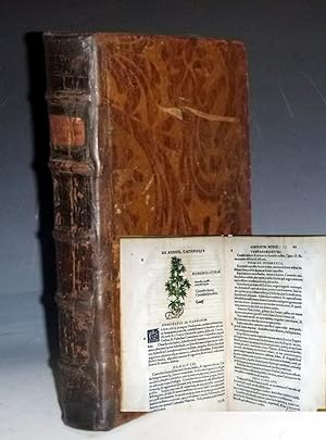 Botanicon: Continens Herbarum, Alioqumsque Simplicium, Quorum Usus in Medicinis Est, Descriptione...
