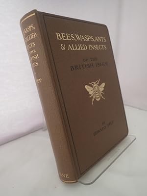 Bees, Wasps, Ants & Allied Insects of the British Isles