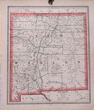 NEW MEXICO (Original Lithographed Map with Color Outline)