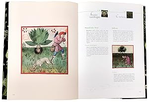 TACUINUM SANITATIS - Art Book - Luxury full-colour commentary volume on the illuminated manuscrip...