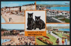 Weymouth Postcard Lucky Black Cat Series