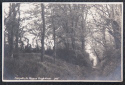 Brightstone Vintage Postcard Isle Of Wight Footpath To Downs 1932