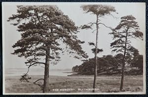 Blythburgh Suffolk Postcard The Heronry Sepia Tone