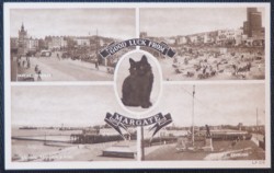 Margate Kent Postcard Lucky Black Cat Series LOCAL PUBLISHER